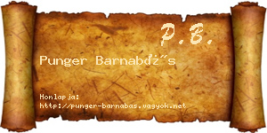 Punger Barnabás névjegykártya