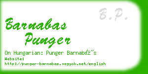 barnabas punger business card